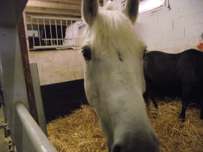 Photo de profil de tommo23