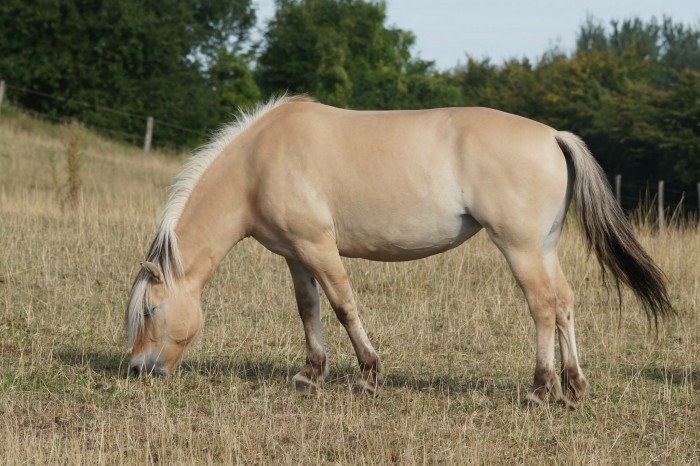 Photo de profil de tontondic