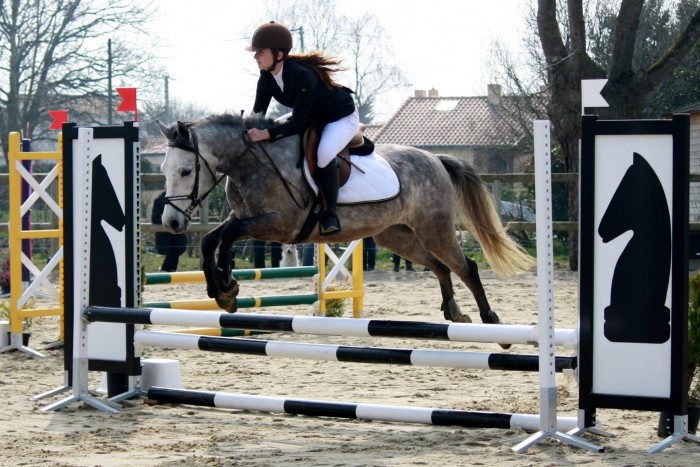Photo de profil de tribaledemone