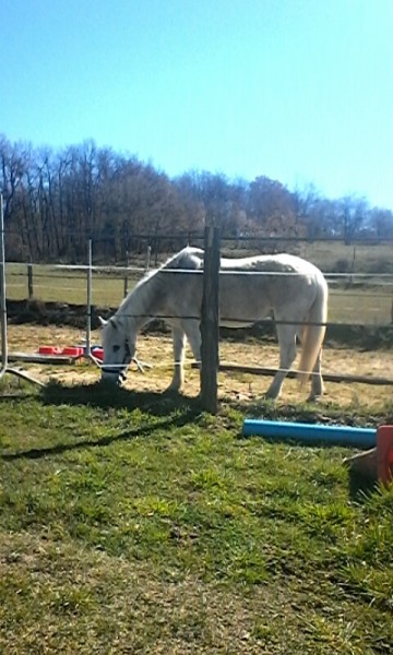 Photo de profil de tricky_and_me