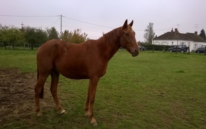 Photo de profil de trotteur45