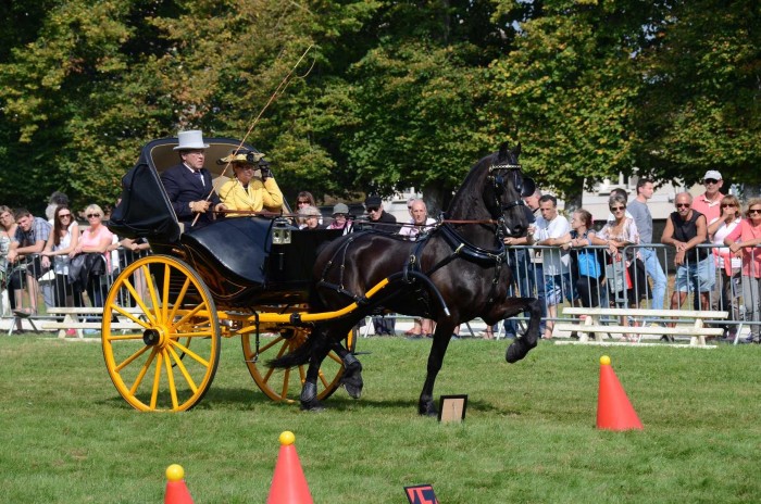 Photo de profil de tygo