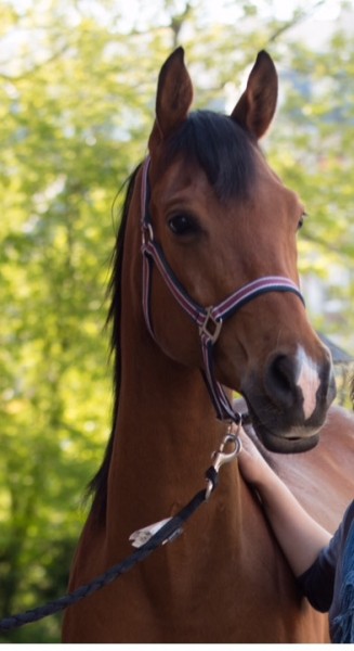 Photo de profil de uchuaia