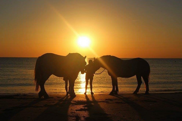 Photo de profil de uneupsaia