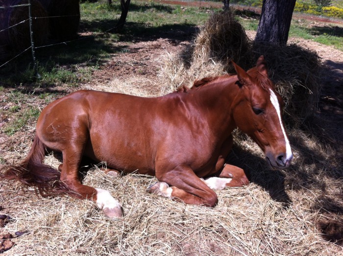 Photo de profil de valentinepr