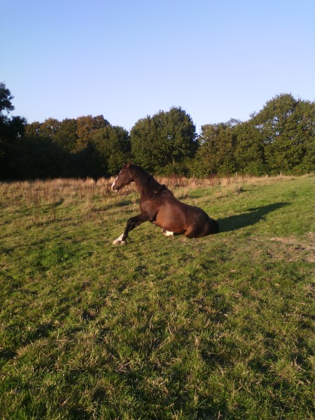 Photo de profil de valouetdoodle