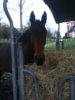 Photo de profil de vaness60
