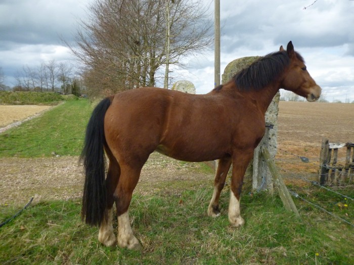 Photo de profil de vanille27
