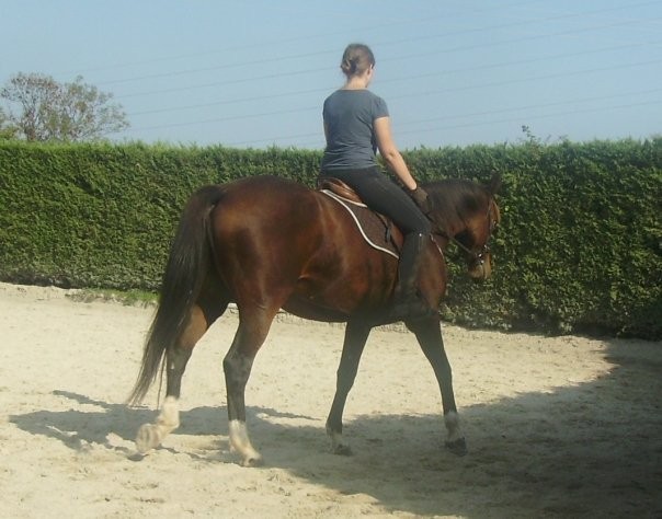 Photo de profil de velvet887