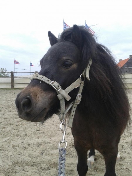 Photo de profil de vickydec