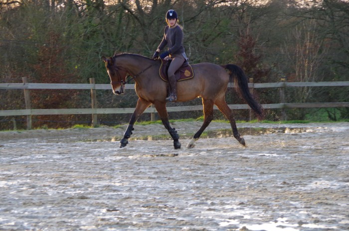 Photo de profil de victoirendu