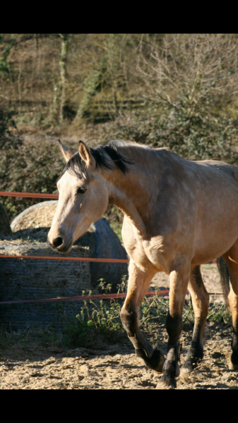 Photo de profil de vintagerossnina
