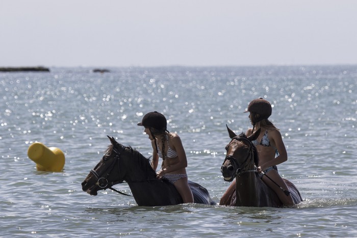 Photo de profil de virginie0401