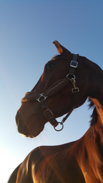 Photo de profil de virginie77310