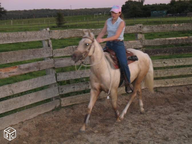 Photo de profil de vivipom