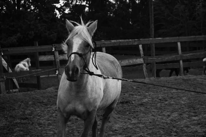 Photo de profil de vlntmrtl