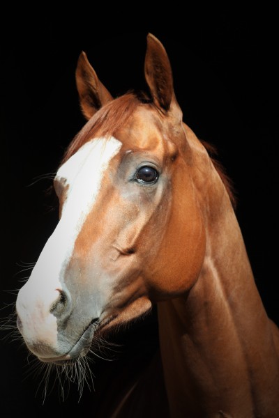 Photo de profil de volga2009