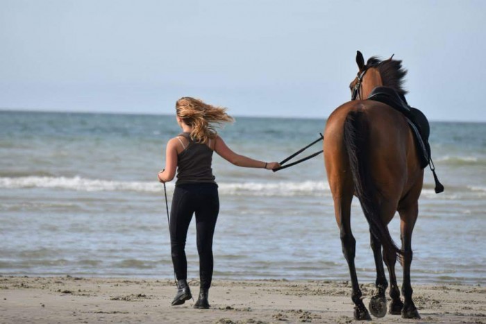 Photo de profil de voltou
