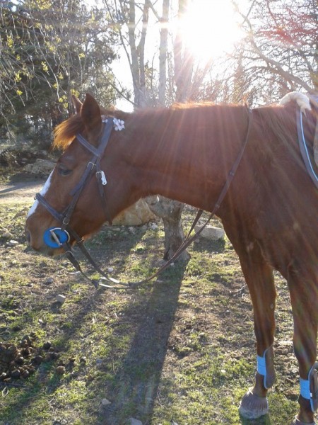 Photo de profil de xlocax