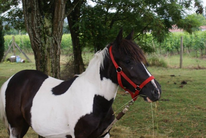 Photo de profil de yaki