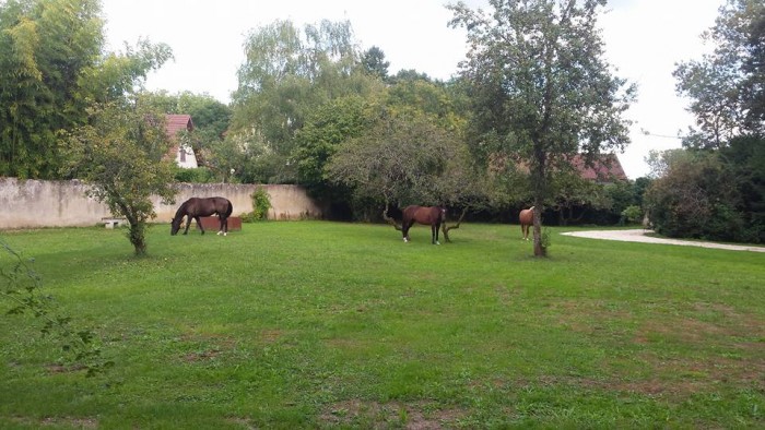 Photo de profil de yann650