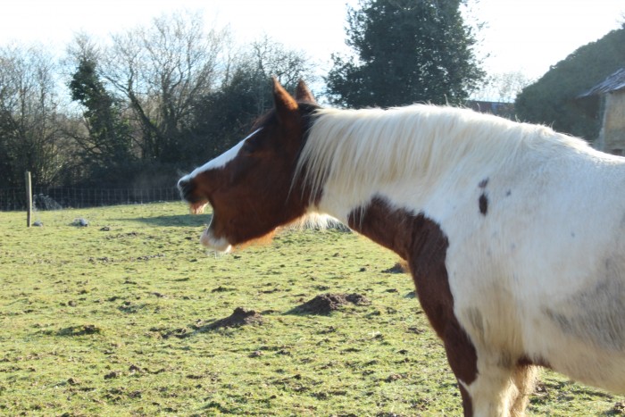 Photo de profil de yuna.fougasse