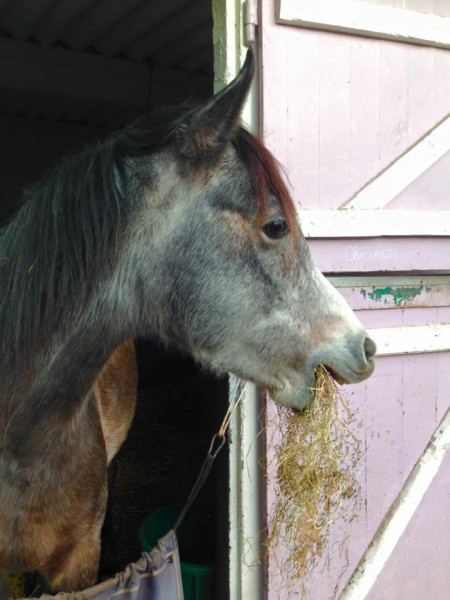 Photo de profil de zaad