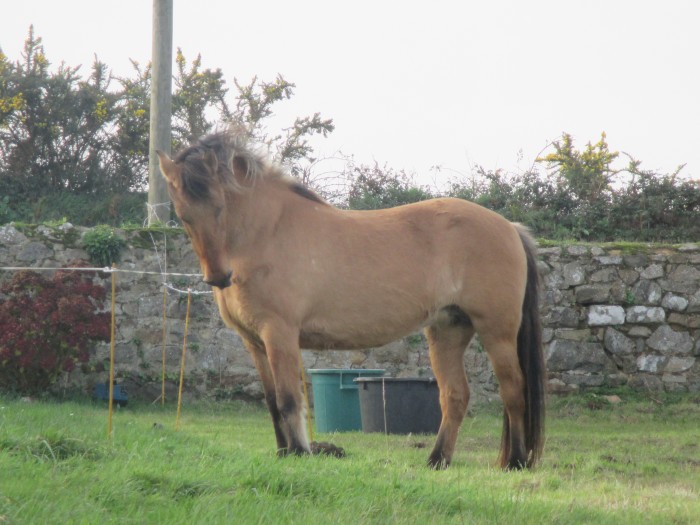 Photo de profil de zahara