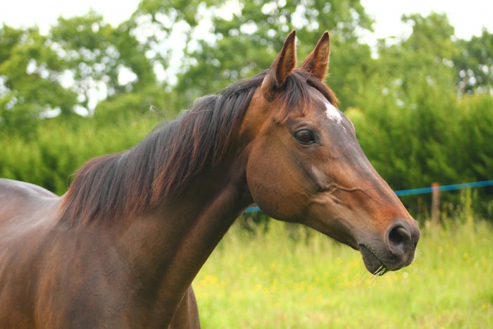 Photo de profil de zali98