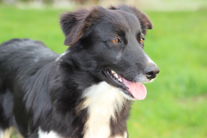 Photo de profil de zaza1