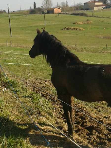 Photo de profil de zazougersoise
