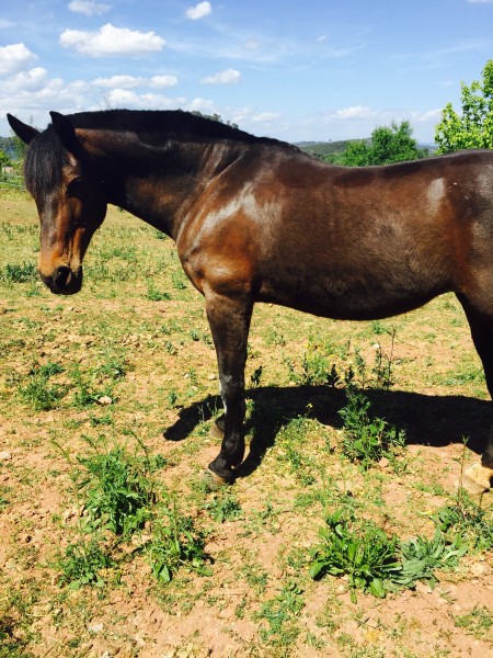 Photo de profil de zilaya83