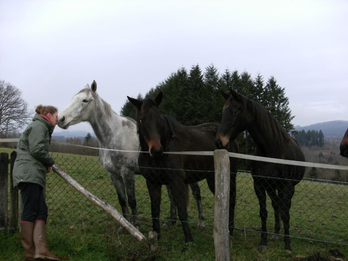 Photo de profil de zoli