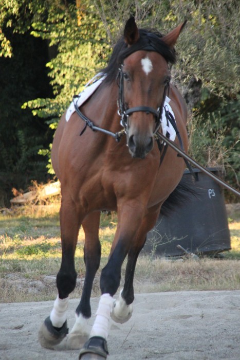 Photo de profil de 1988bcve