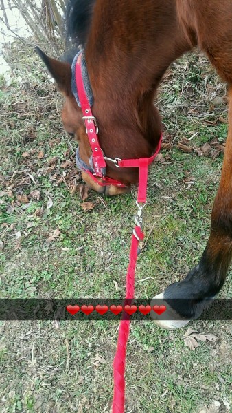 Photo de profil de 2006pikachanequ