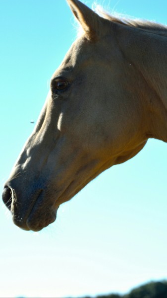 Photo de profil de 2cartoonland