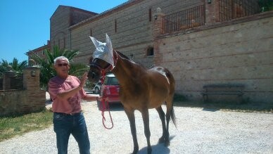 Photo de profil de 488angle