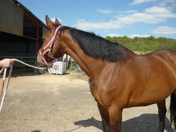 Photo de profil de 5144welgi