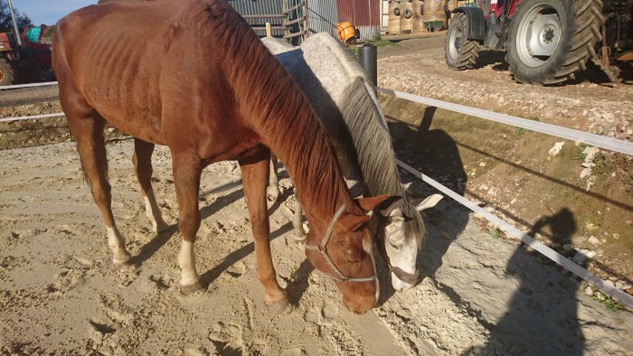 Photo de profil de 60880lilou