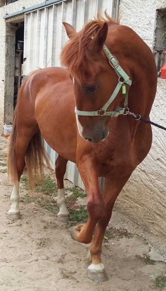 Photo de profil de 87jhude