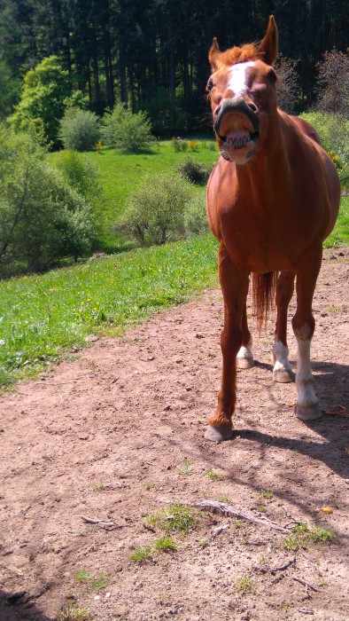 Photo de profil de abisa
