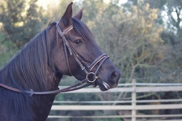 Photo de profil de adette257