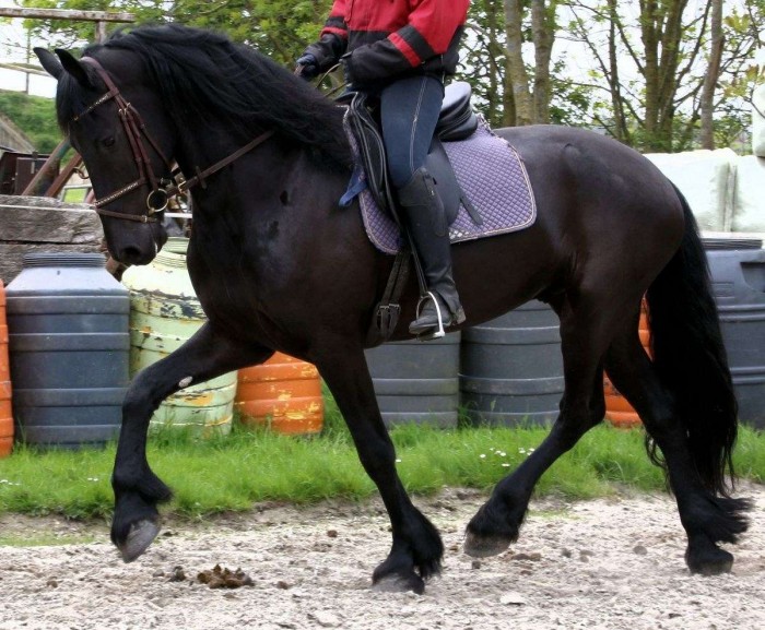 Photo de profil de adg16