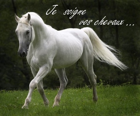 Photo de profil de aeps