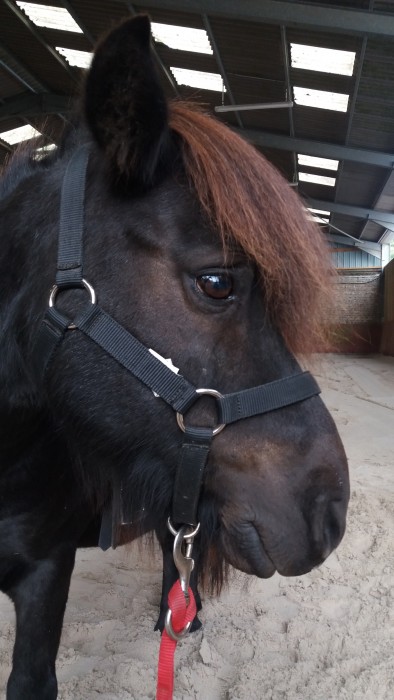 Photo de profil de agathe.oliver