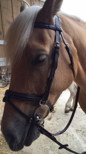 Photo de profil de alex77660