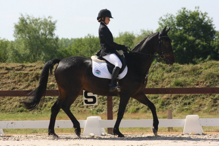 Photo de profil de aliciazingly