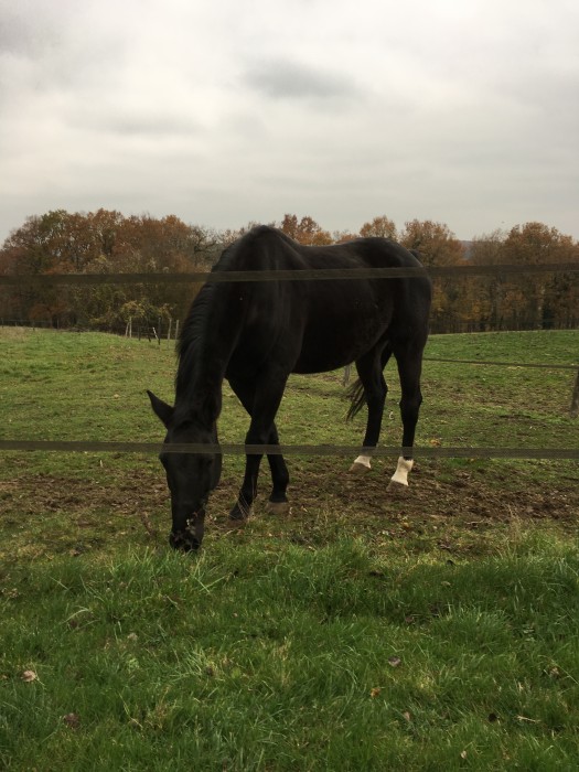 Photo de profil de alinegirardgonn