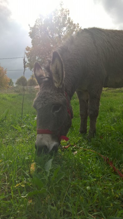Photo de profil de alix1406530