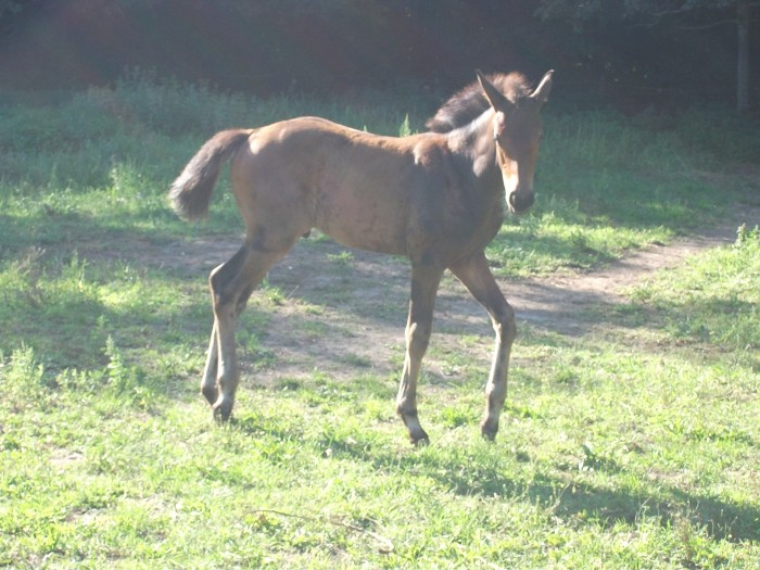 Photo de profil de alize77